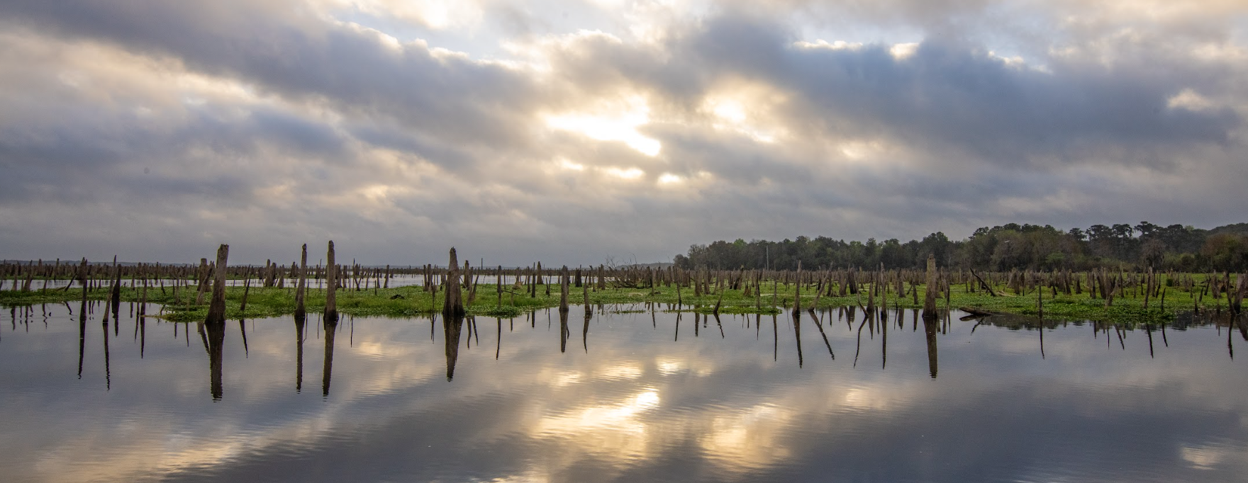 Rescheduled Ocklawaha Drawdown Boat Tour - Feb 21